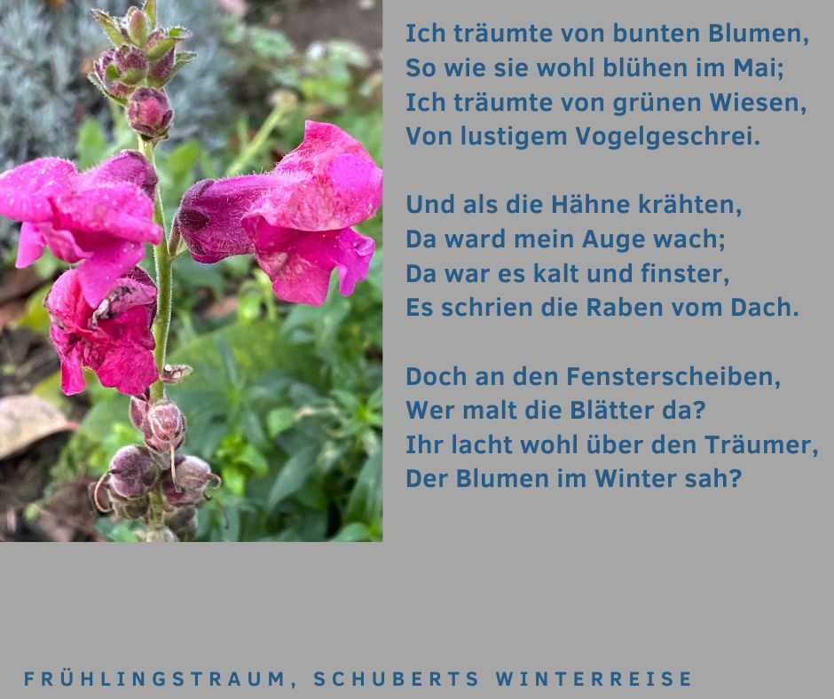 Schuberts Winterreise, Trauerrednerin Claudia Engel