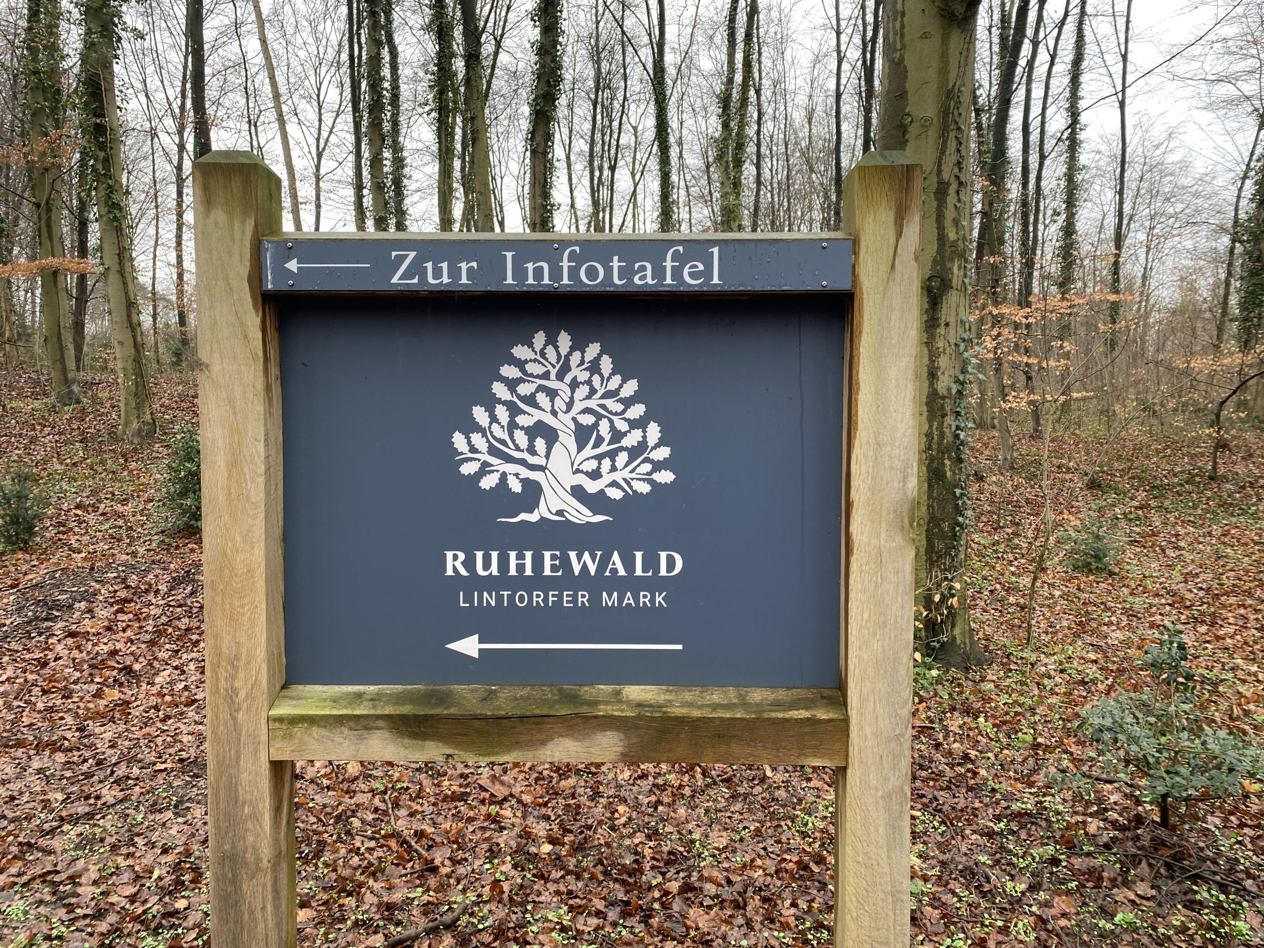 ruhewald-lintorfer-mark-ratingen-claudia-engel-trauerrednerin